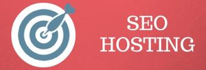 Dịch vụ SEO Hosting và ai nên sử dụng SEO Hosting?