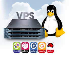 VPS giá rẻ và Hosting, đâu là xu hướng hiện nay?
