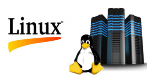 Hosting là gì? Ưu nhược điểm của Hosting Linux